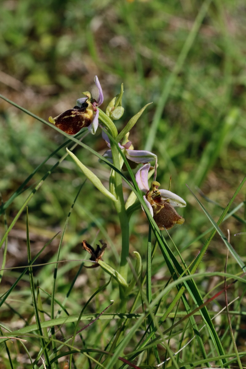 2017_05_27_033695p_Bildgr��e �ndern