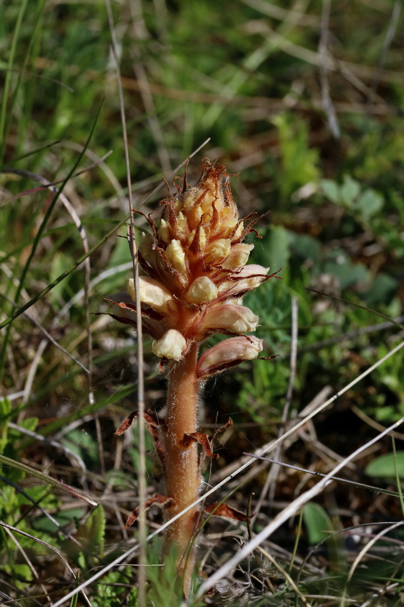 2017_05_27_033724p_Bildgr��e �ndern