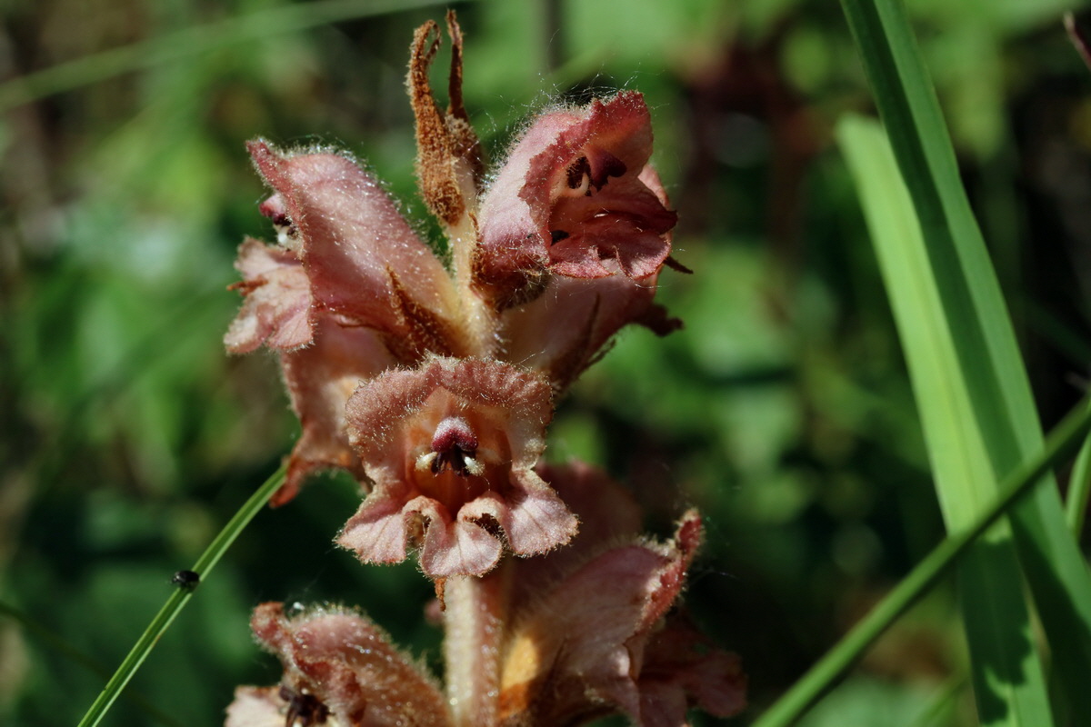 2017_05_27_033753p_Bildgr��e �ndern