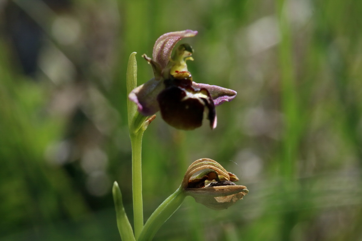 2017_05_27_033795p_Bildgr��e �ndern