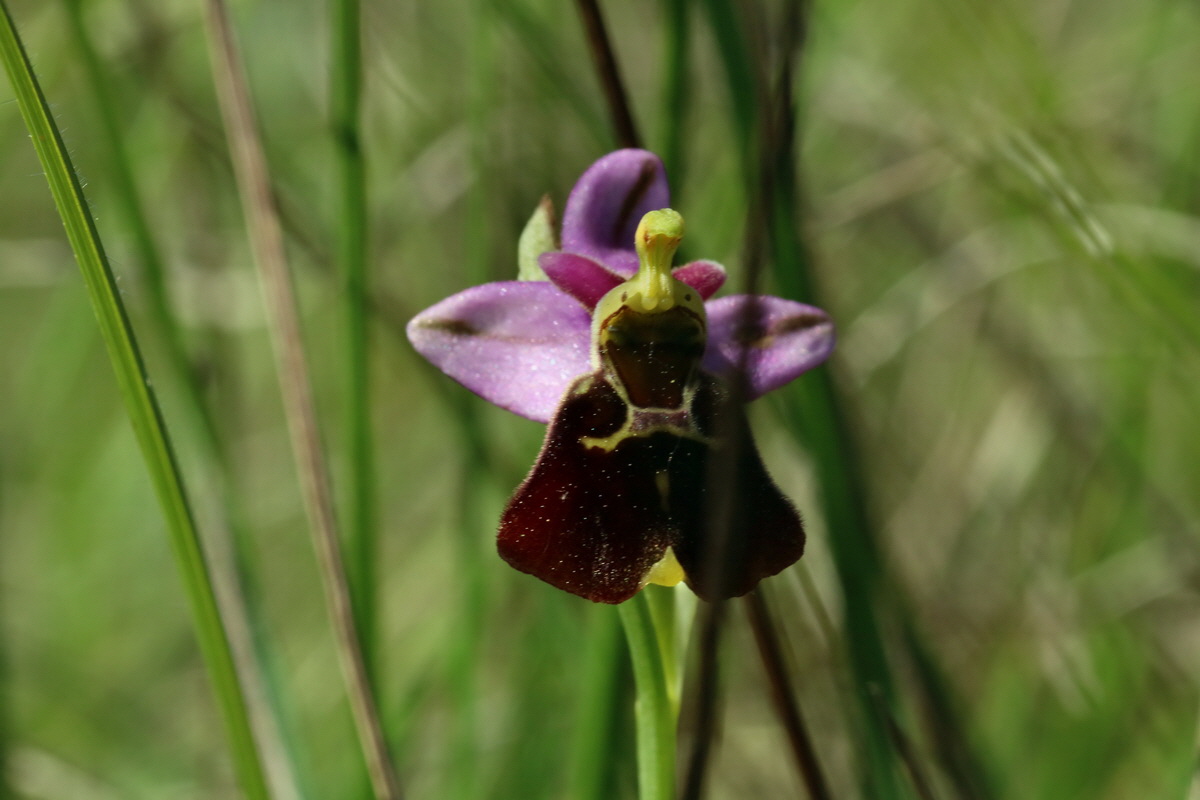 2017_05_27_033799p_Bildgr��e �ndern