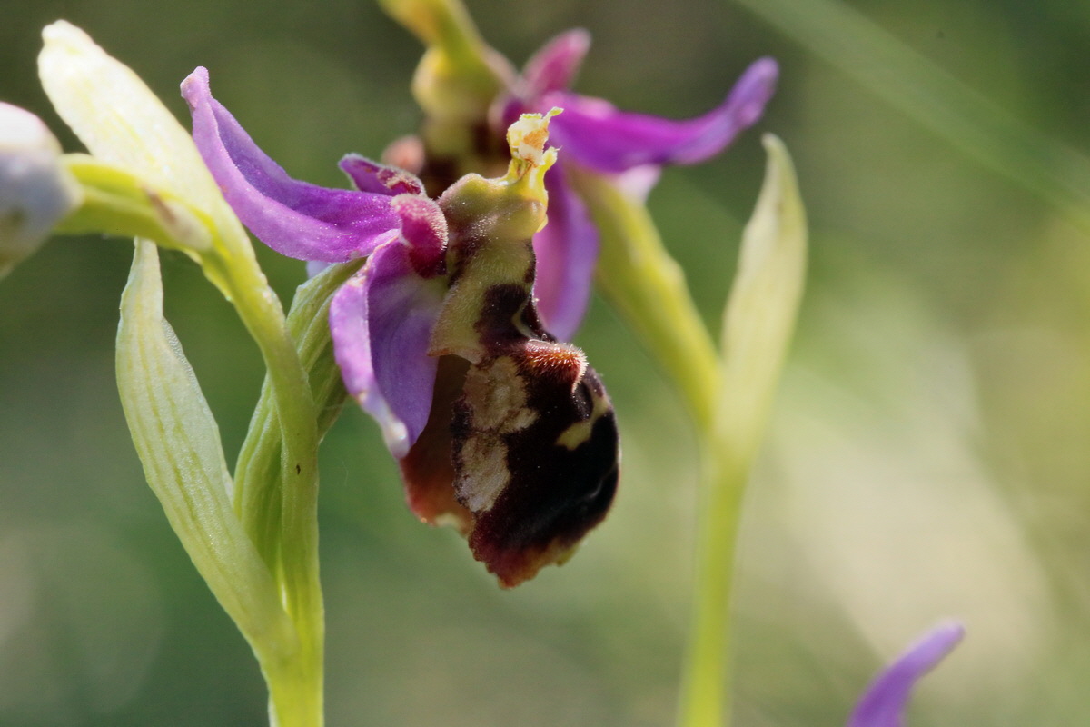 2017_05_27_033806p_Bildgr��e �ndern