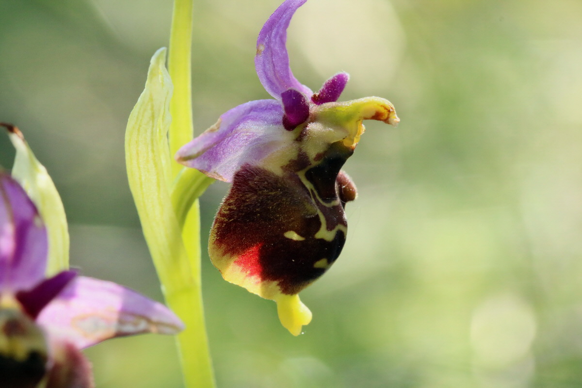 2017_05_27_033811p_Bildgr��e �ndern