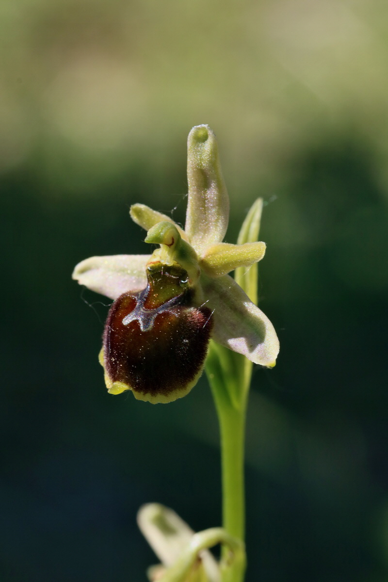 2017_05_27_033856p_Bildgr��e �ndern