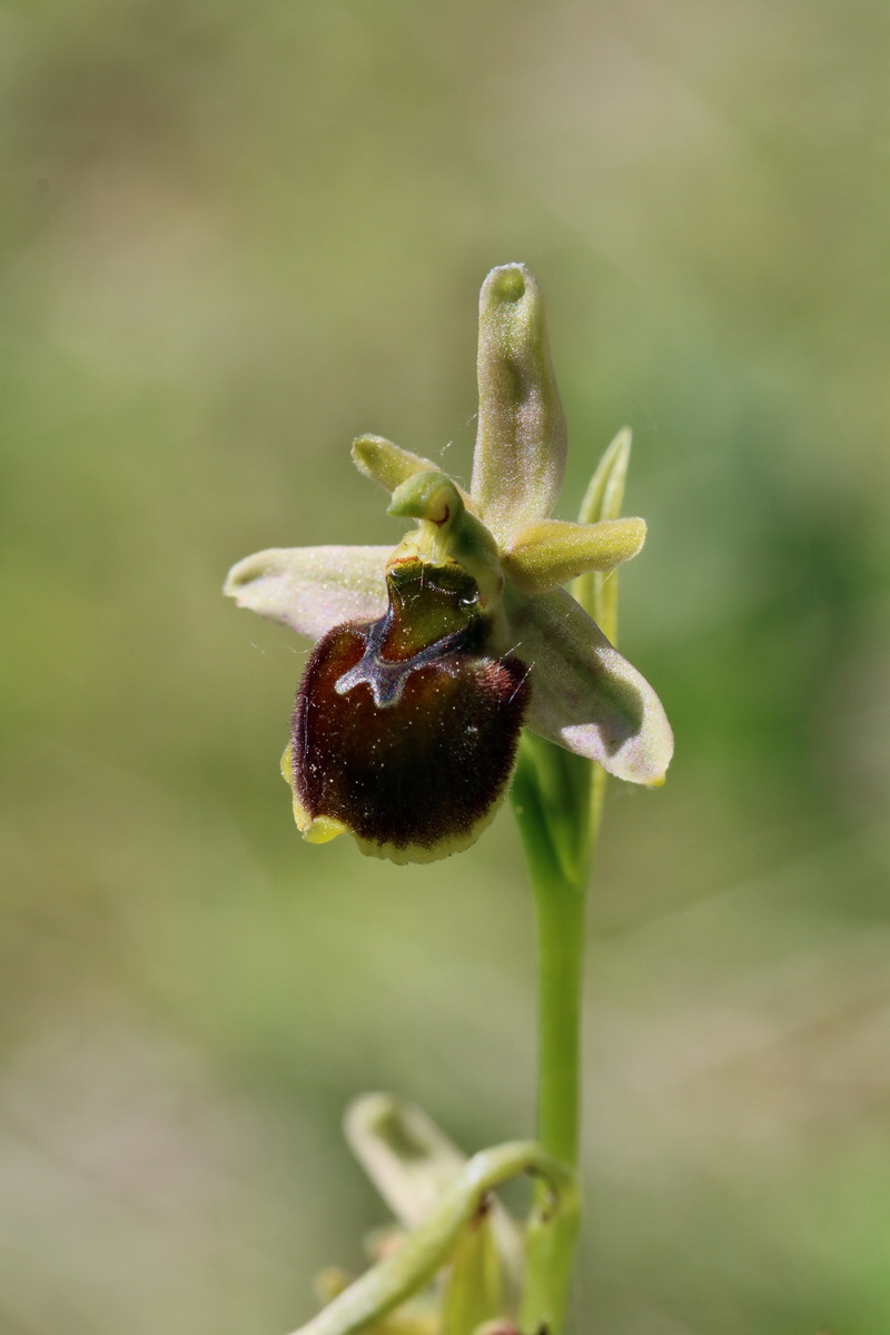 2017_05_27_033863p_Bildgr��e �ndern