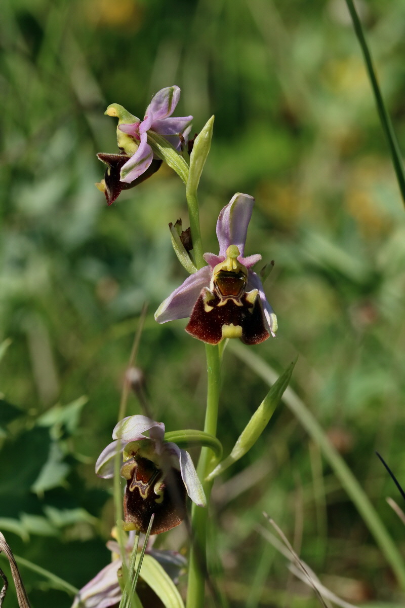 2017_05_27_033869p_Bildgr��e �ndern