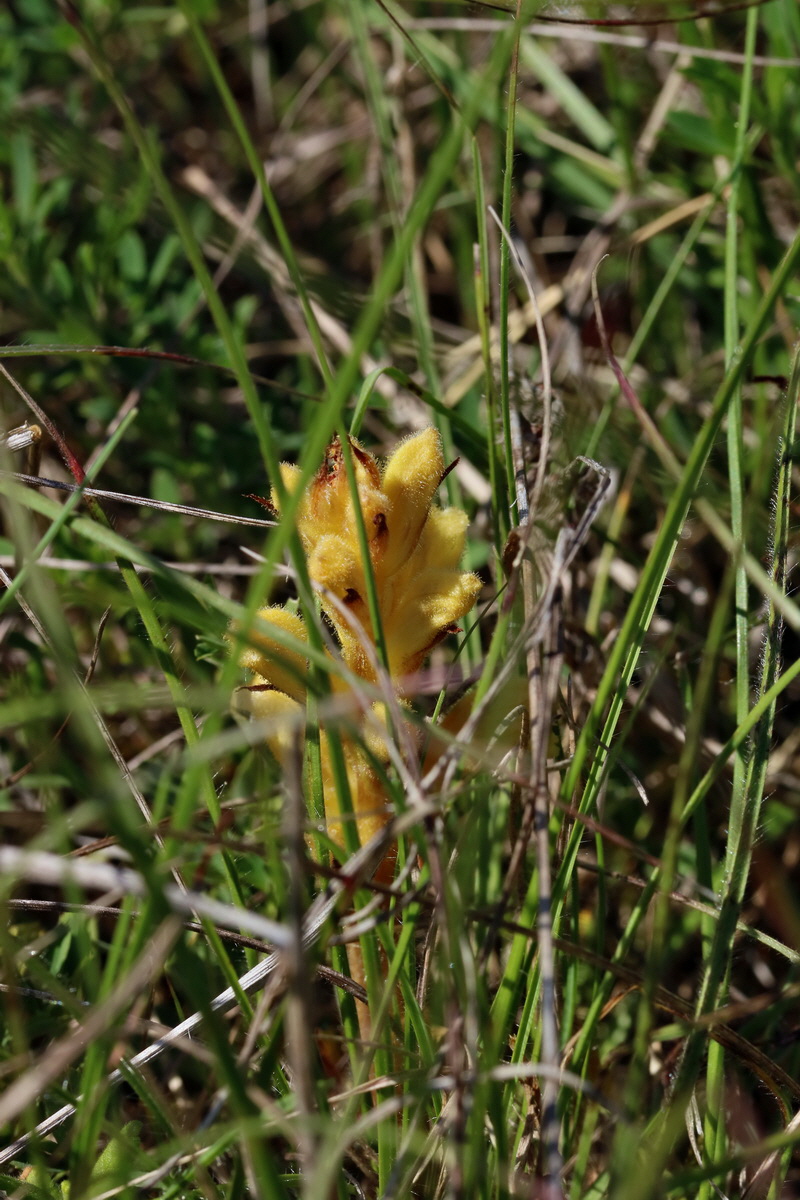 2017_05_27_033884p_Bildgr��e �ndern