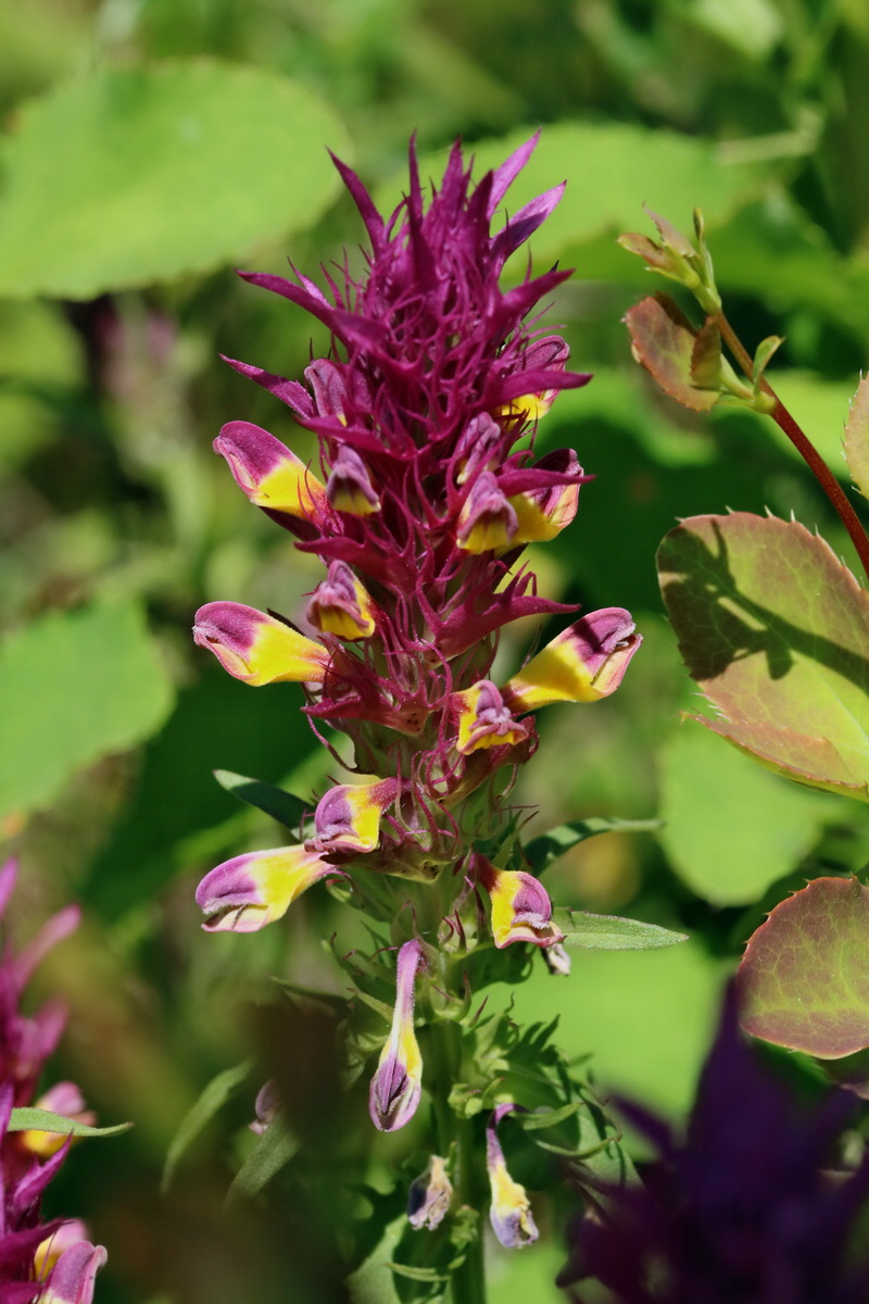 2017_05_27_033960p_Bildgr��e �ndern