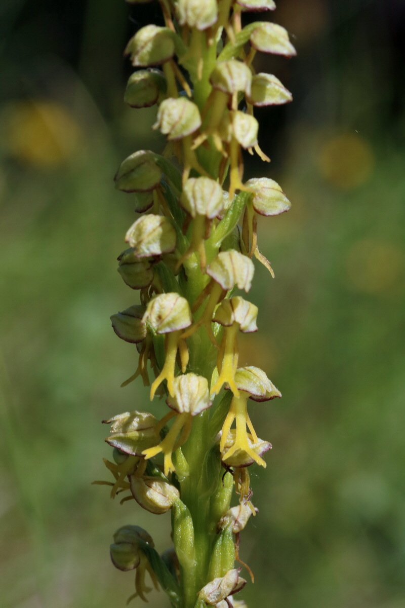 2017_05_27_033972p_Bildgr��e �ndern