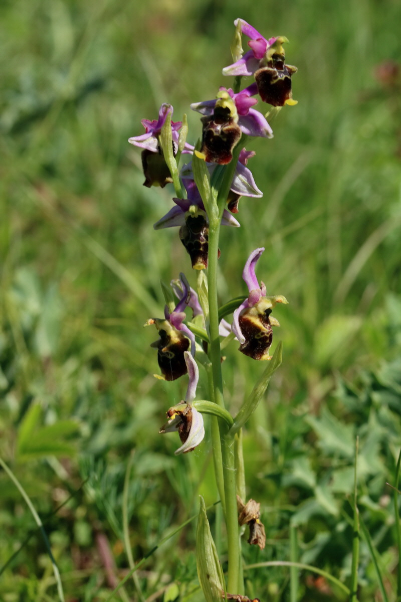 2017_05_27_034090p_Bildgr��e �ndern