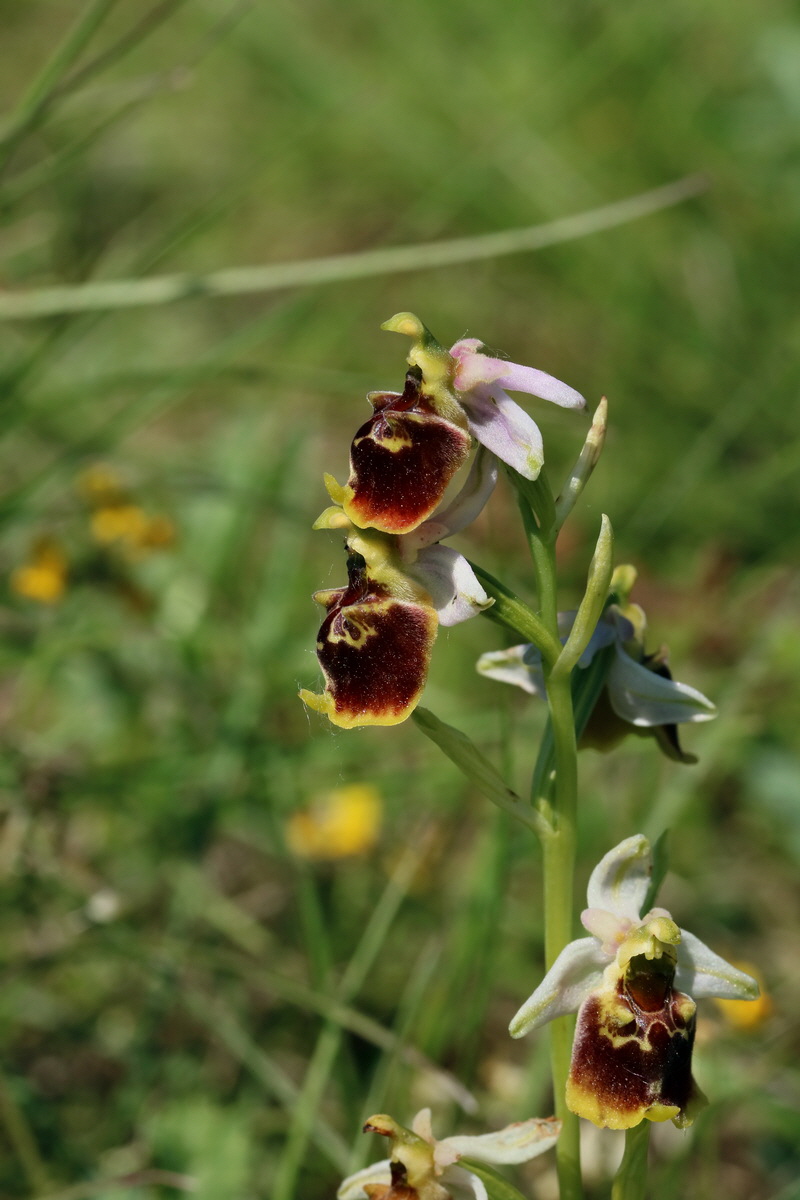 2017_05_27_034103p_Bildgr��e �ndern