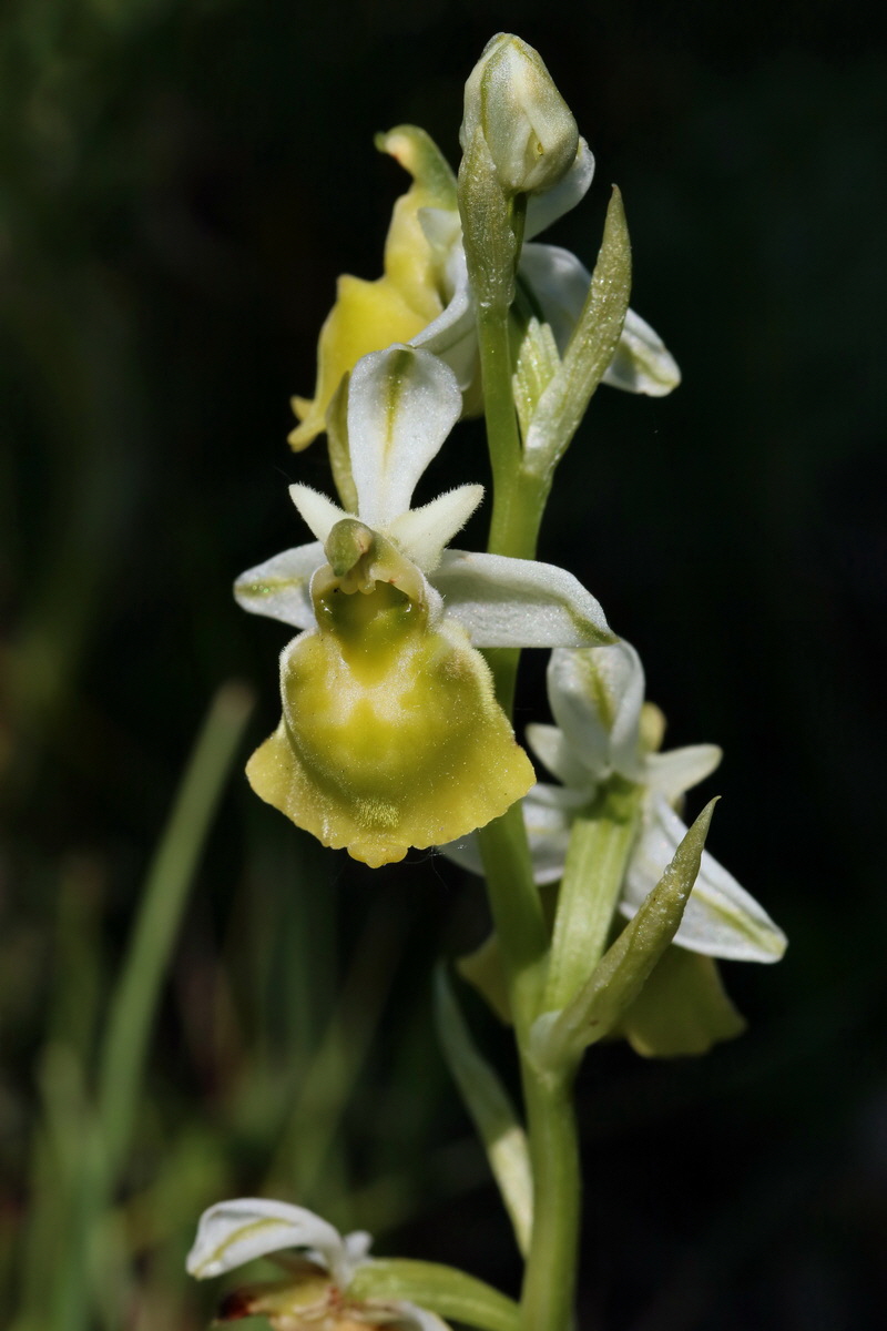 2017_05_27_034150p_Bildgr��e �ndern