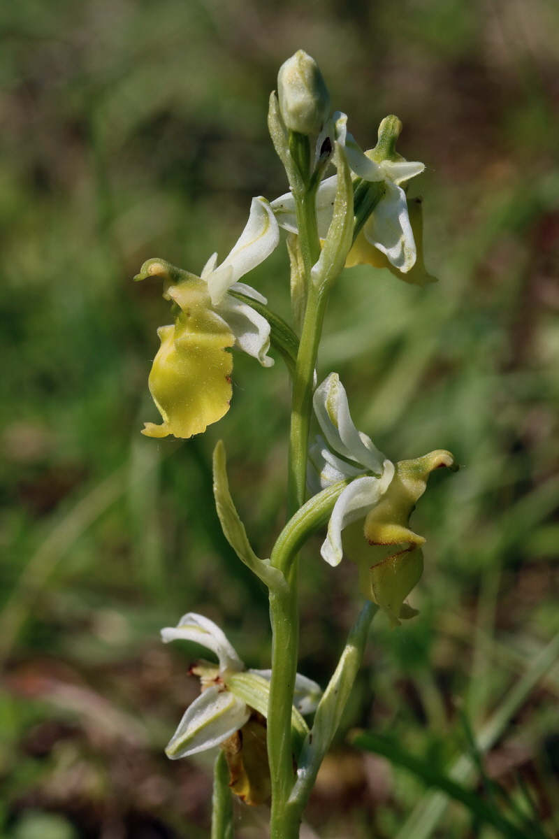 2017_05_27_034176p_Bildgr��e �ndern