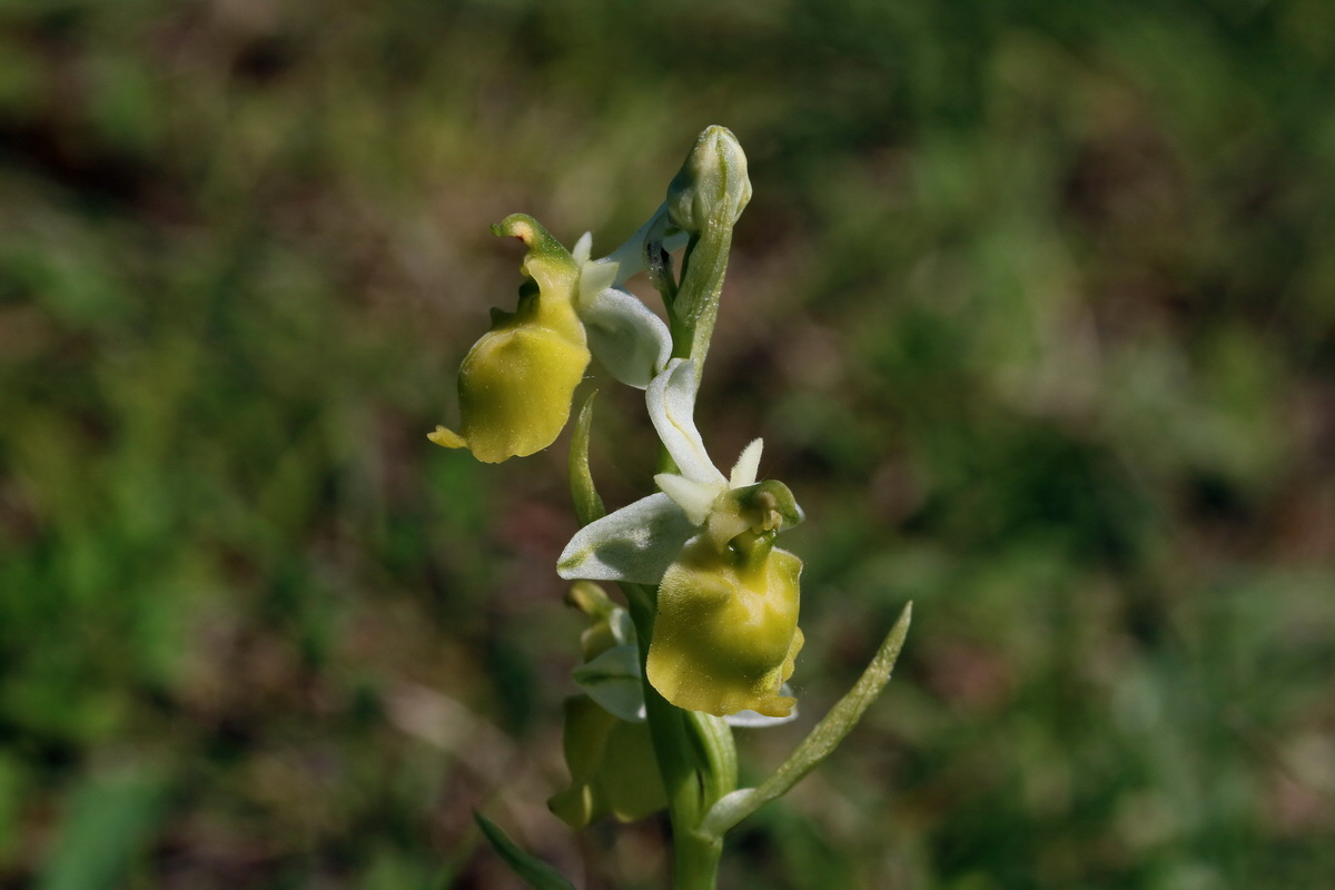 2017_05_27_034182p_Bildgr��e �ndern