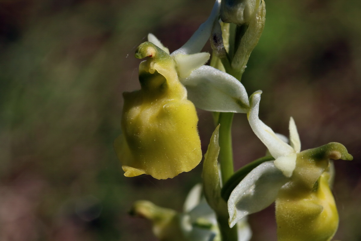 2017_05_27_034192p_Bildgr��e �ndern