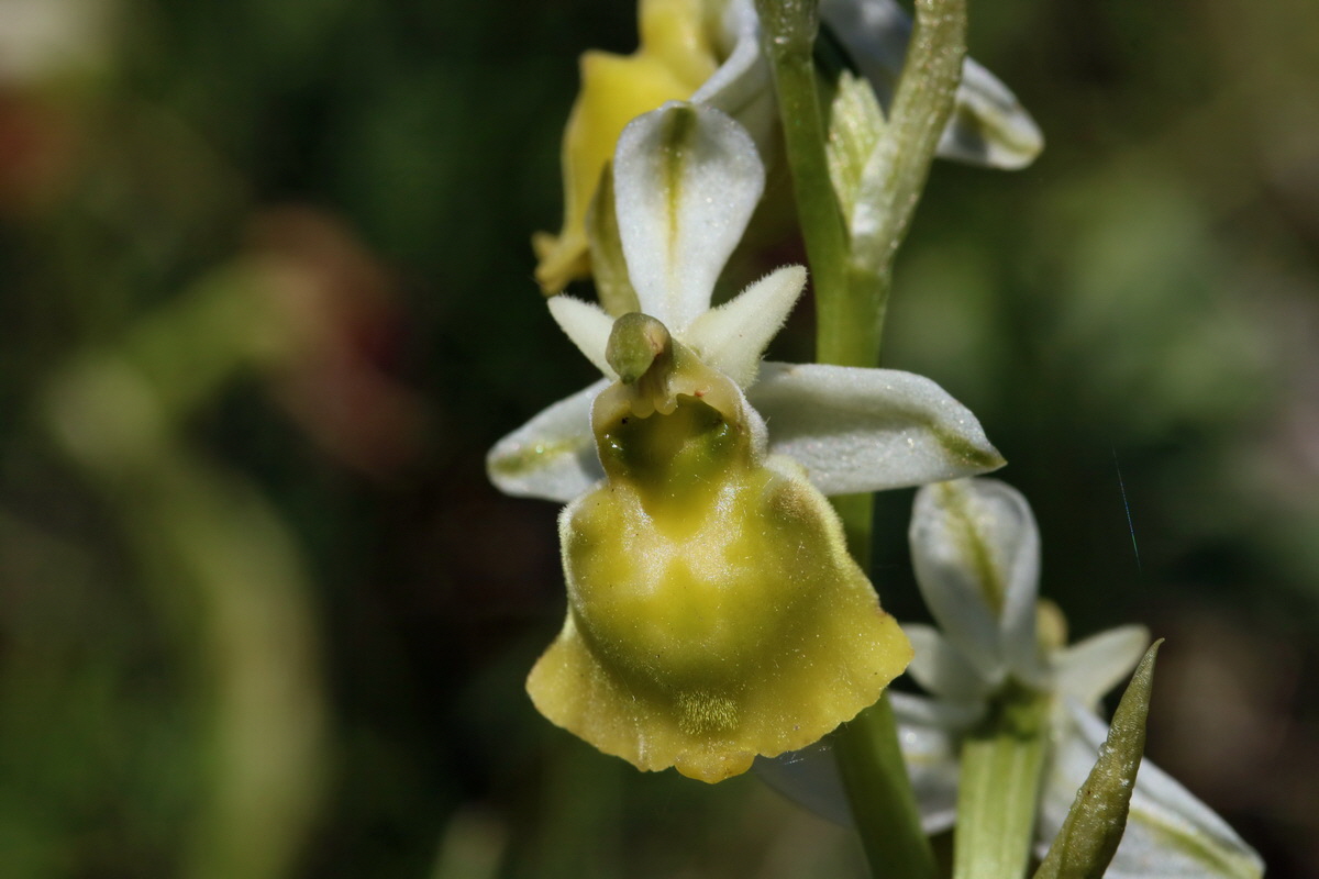 2017_05_27_034204p_Bildgr��e �ndern