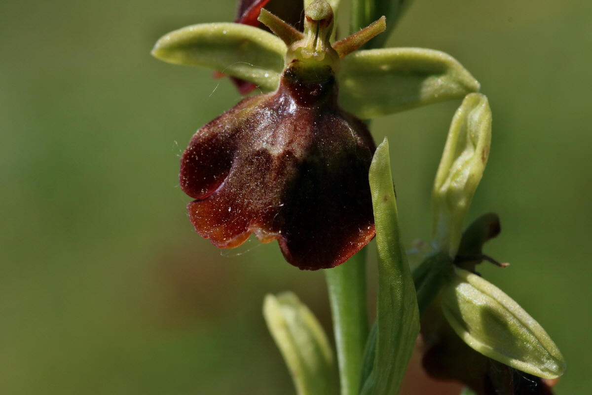 2017_05_27_034248p_Bildgr��e �ndern