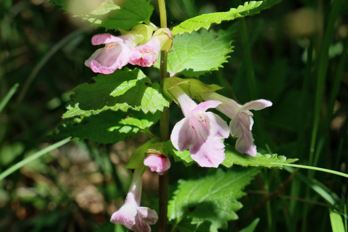 2017_05_27_034438p_Bildgr��e �ndern