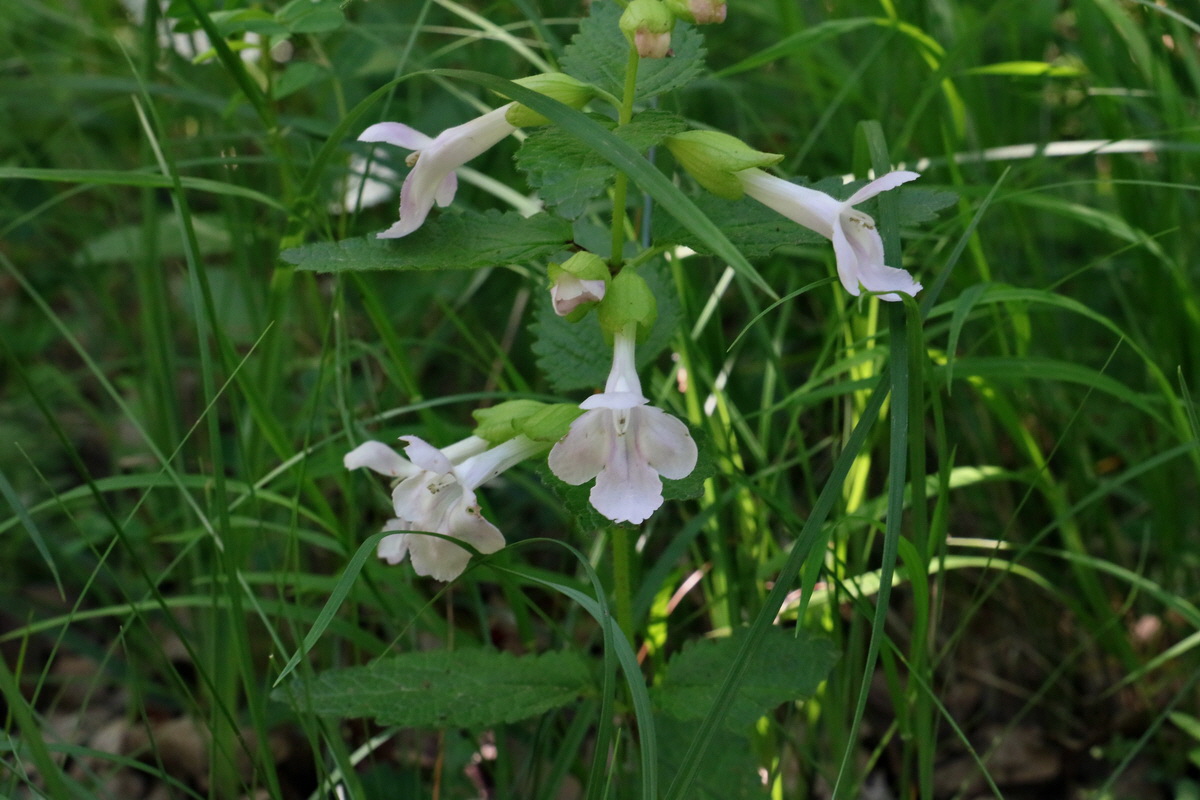 2017_05_27_034452p_Bildgr��e �ndern