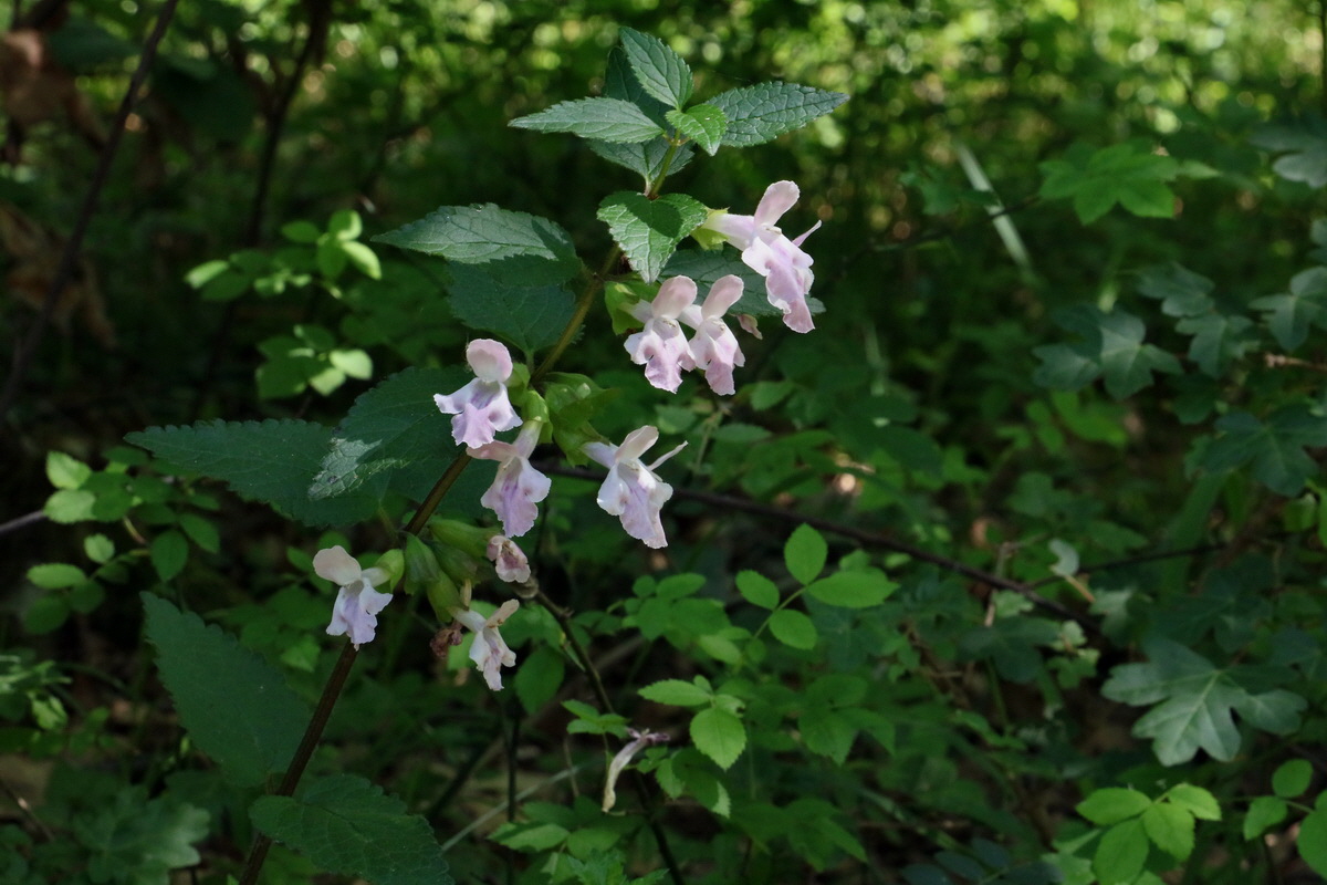 2017_05_27_034455p_Bildgr��e �ndern