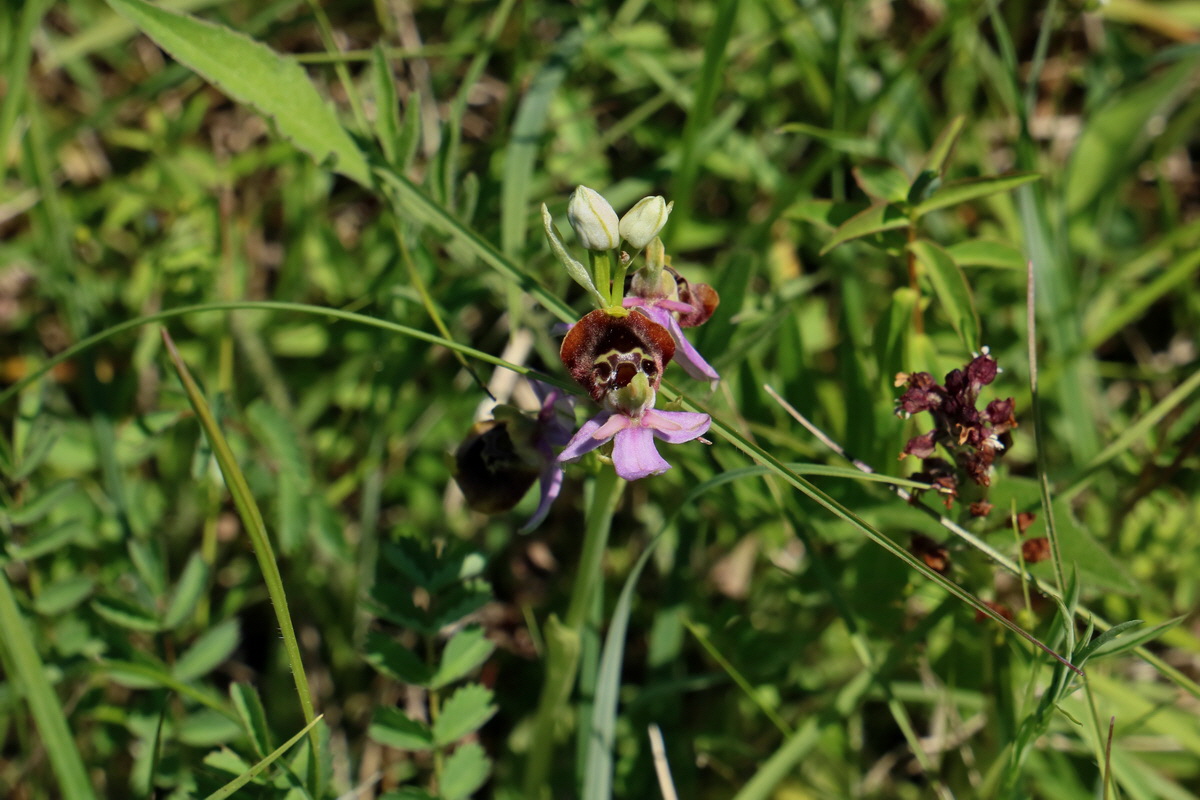 2017_05_27_034465p_Bildgr��e �ndern