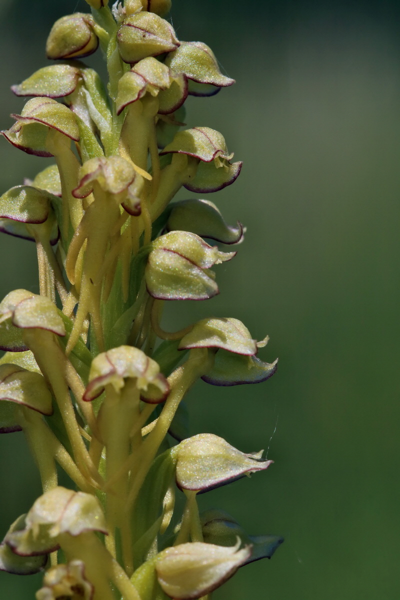 2017_05_27_034602p_Bildgr��e �ndern