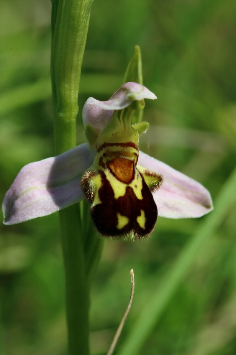 2017_05_27_034612p_Bildgr��e �ndern