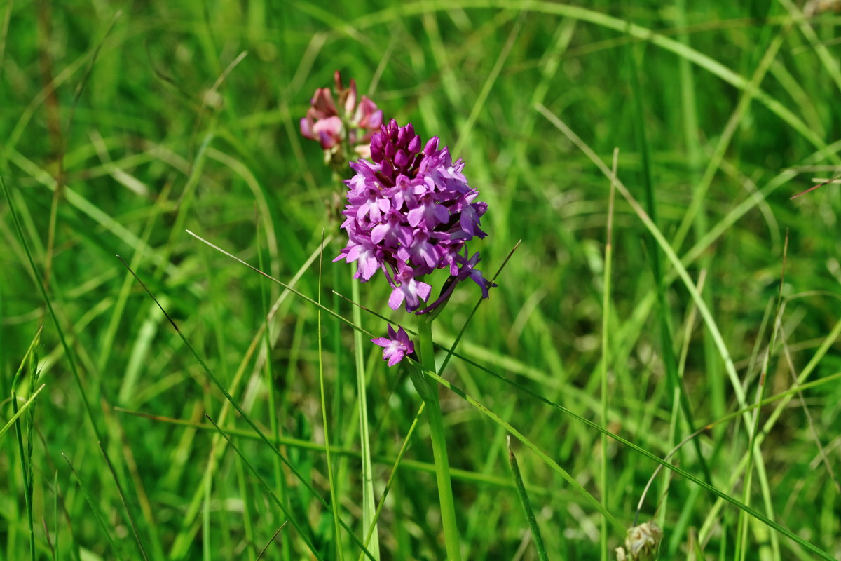 RNA_2017_05_28_6994p_Bildgr��e �ndern