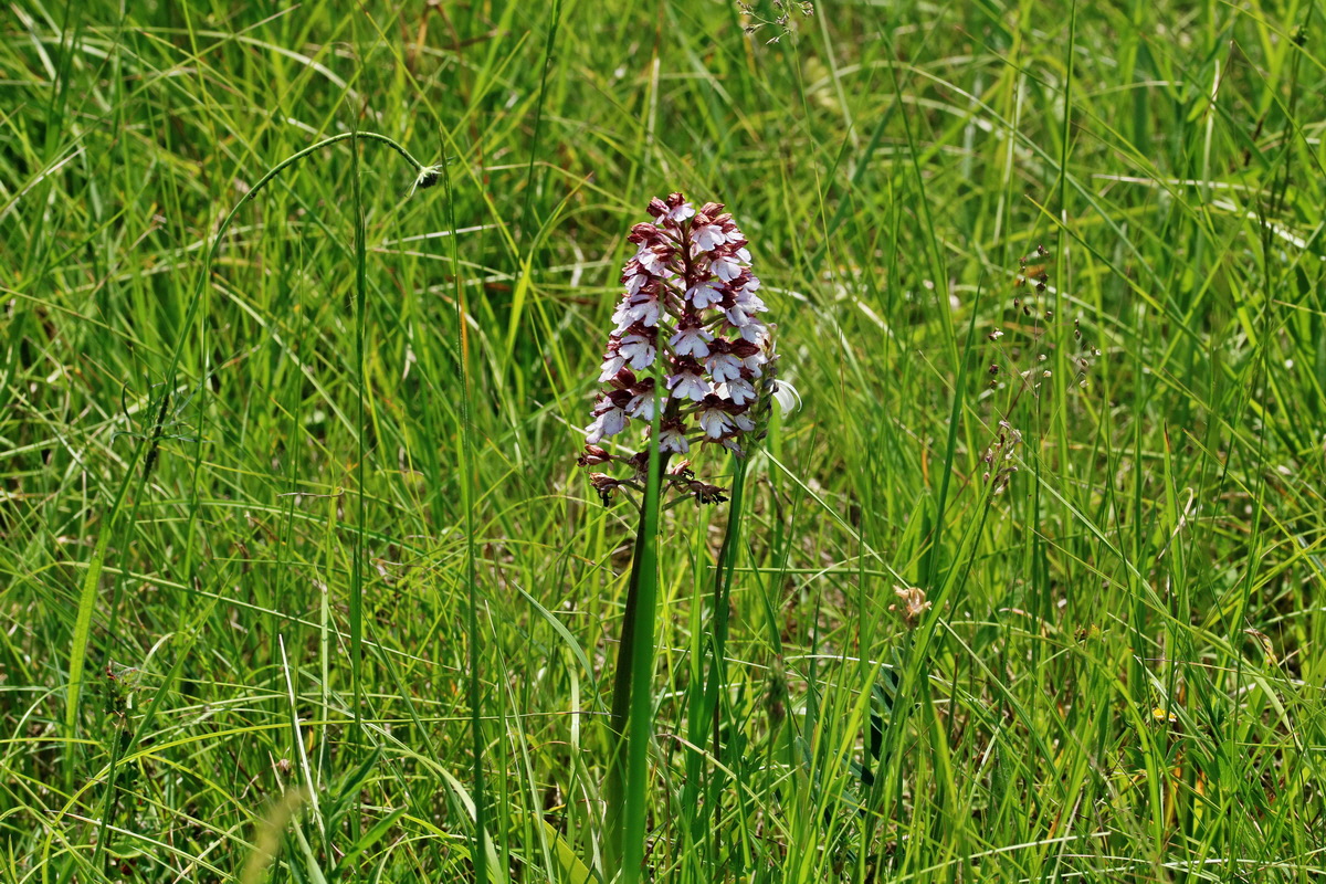 RNA_2017_05_28_6997p_Bildgr��e �ndern