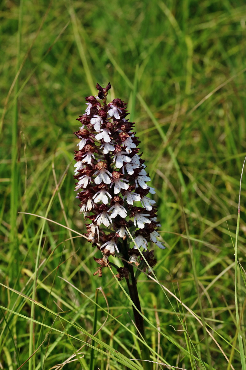 RNA_2017_05_28_7008p_Bildgr��e �ndern