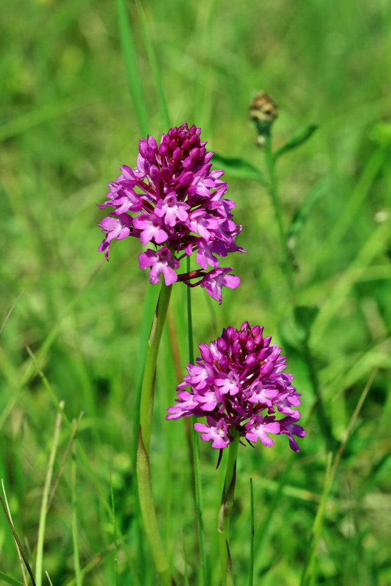 RNA_2017_05_28_7015p_Bildgr��e �ndern