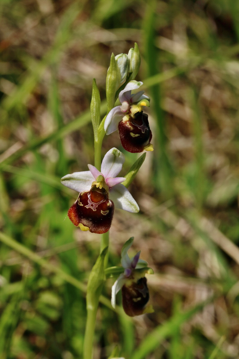 RNA_2017_05_28_7088p_Bildgr��e �ndern