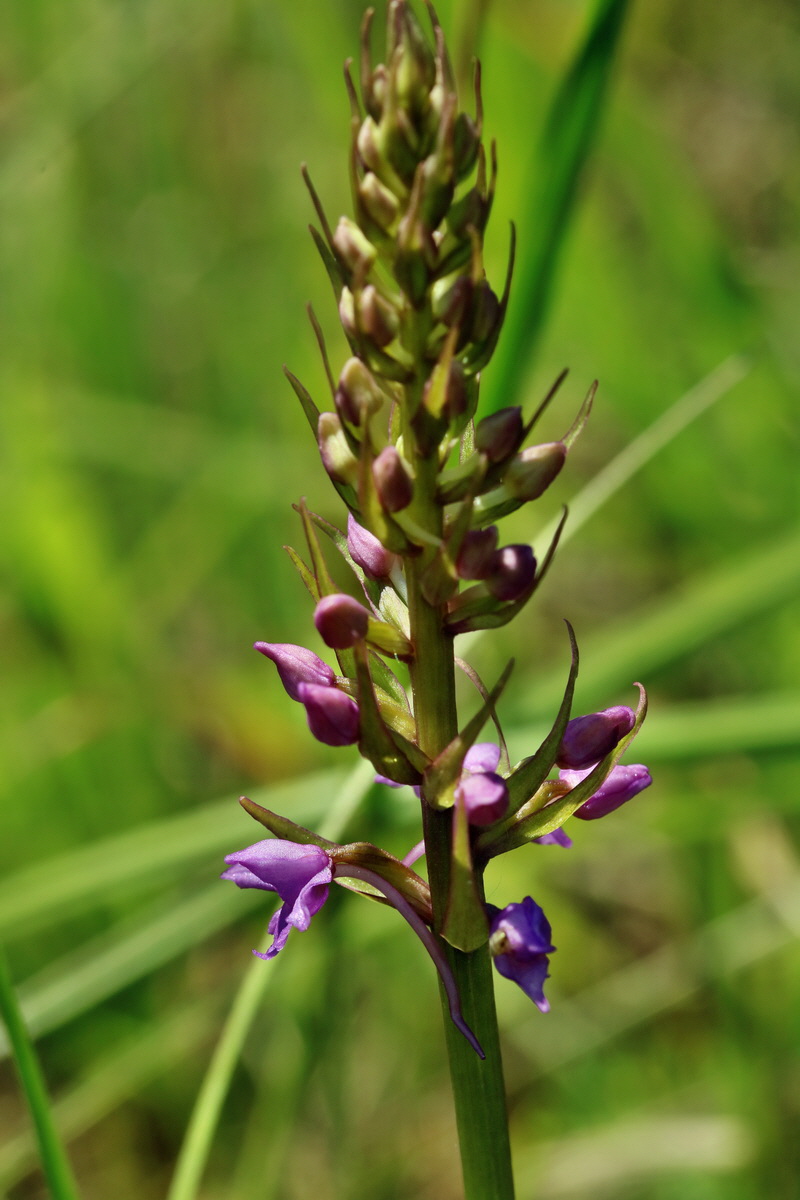 RNA_2017_05_28_7094p_Bildgr��e �ndern