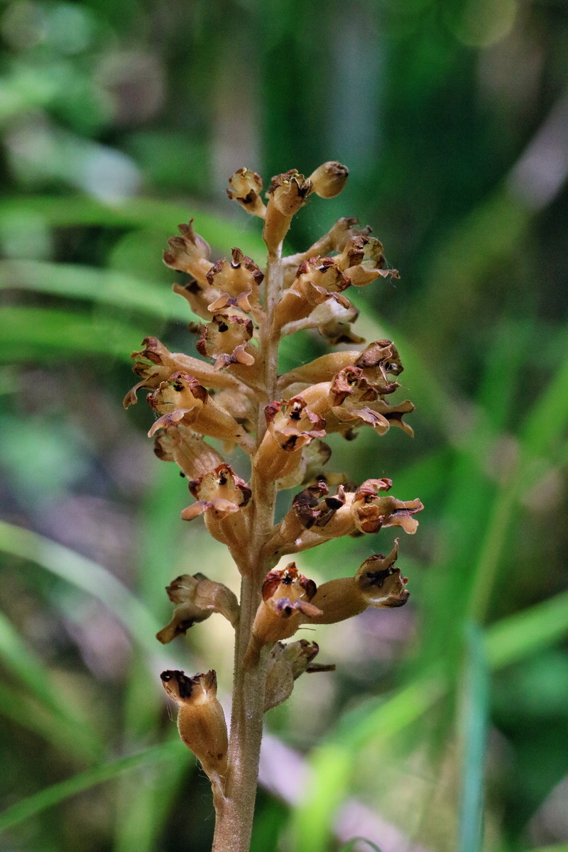 RNA_2017_05_28_7118p_Bildgr��e �ndern