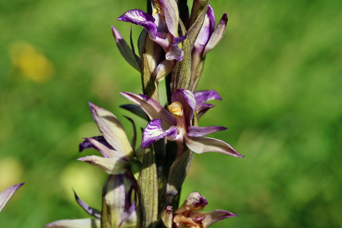 RNA_2017_05_28_6834p_Bildgr��e �ndern