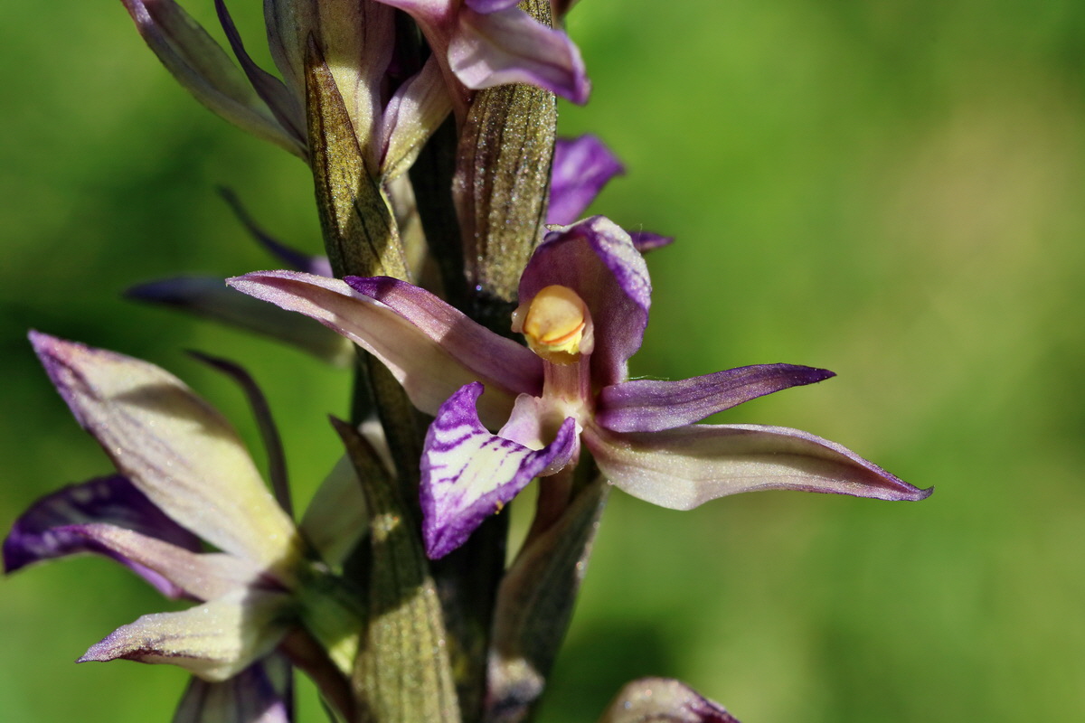 RNA_2017_05_28_6837p_Bildgr��e �ndern