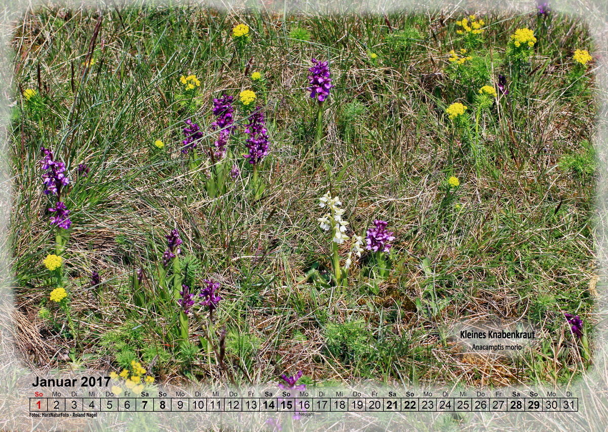 a01_Bildgr��e �ndern