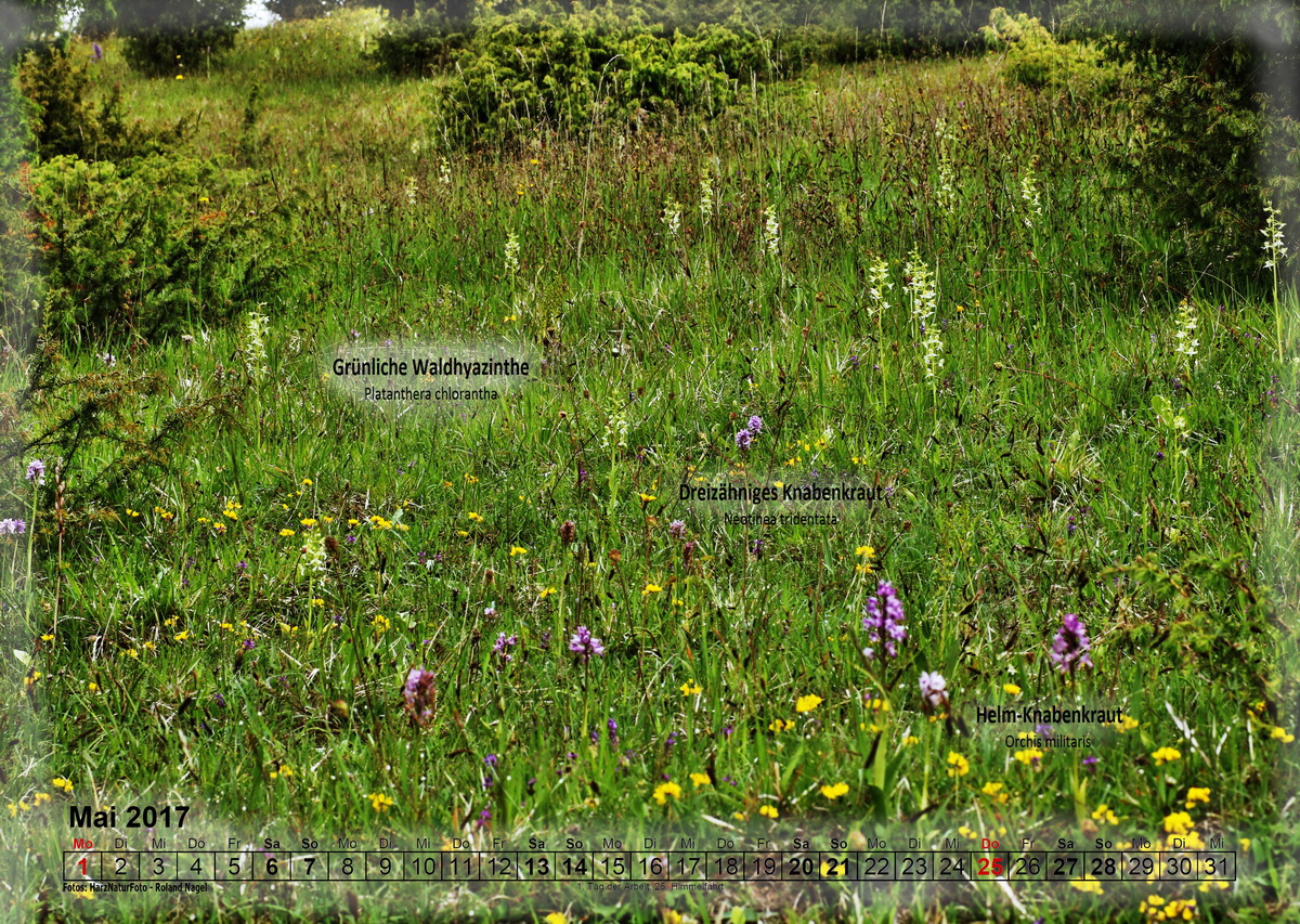 a05_Bildgr��e �ndern