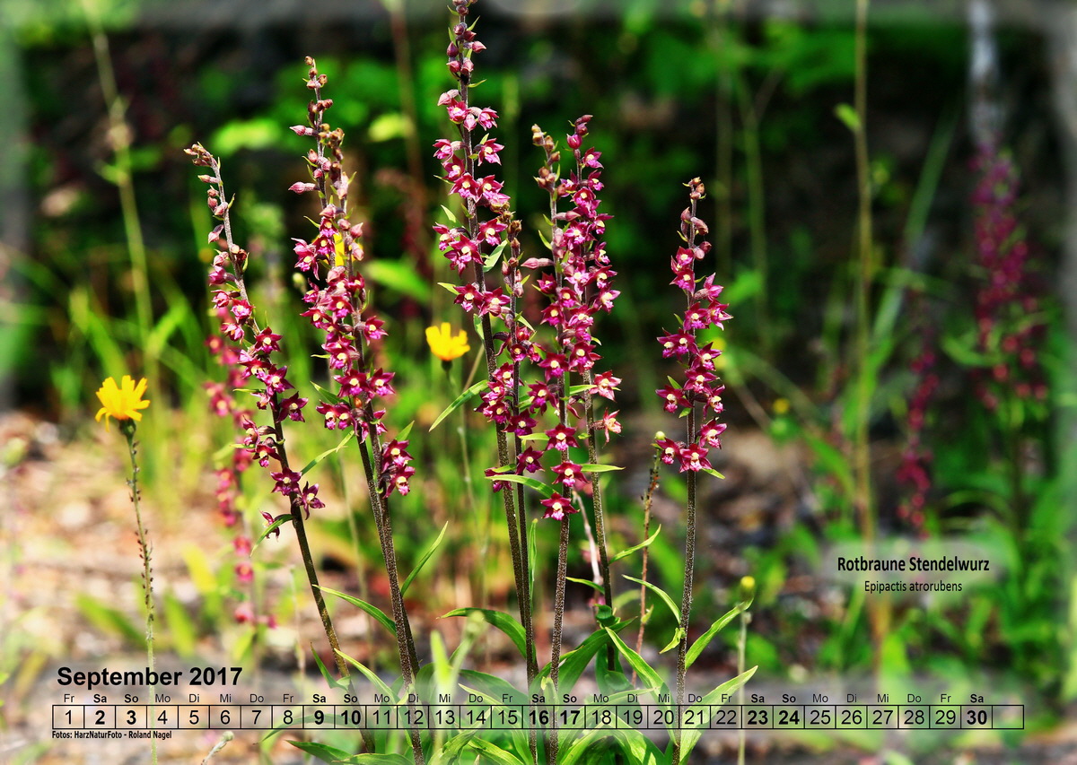 a09_Bildgr��e �ndern