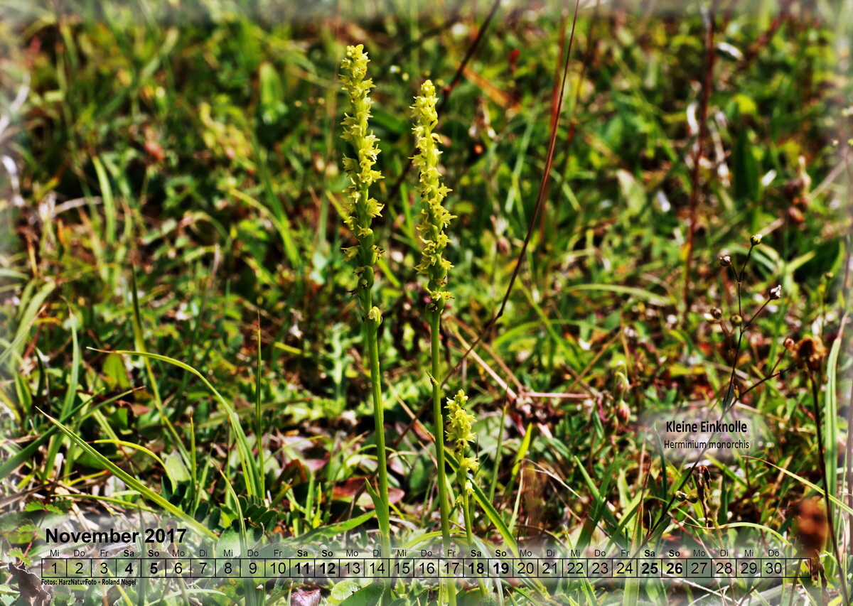 a11_Bildgr��e �ndern