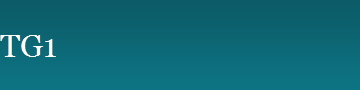 TG1