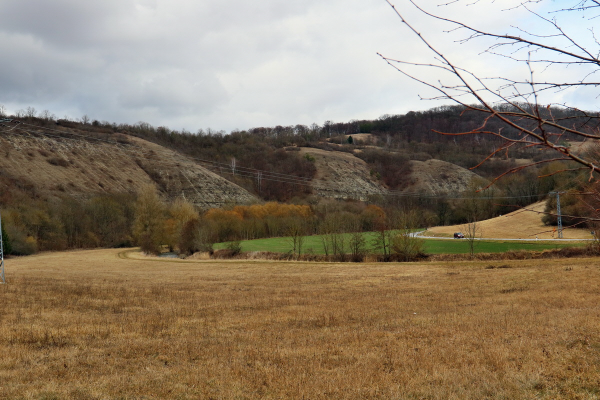 RNA-2017-03-05-00025943p_Bildgr��e �ndern