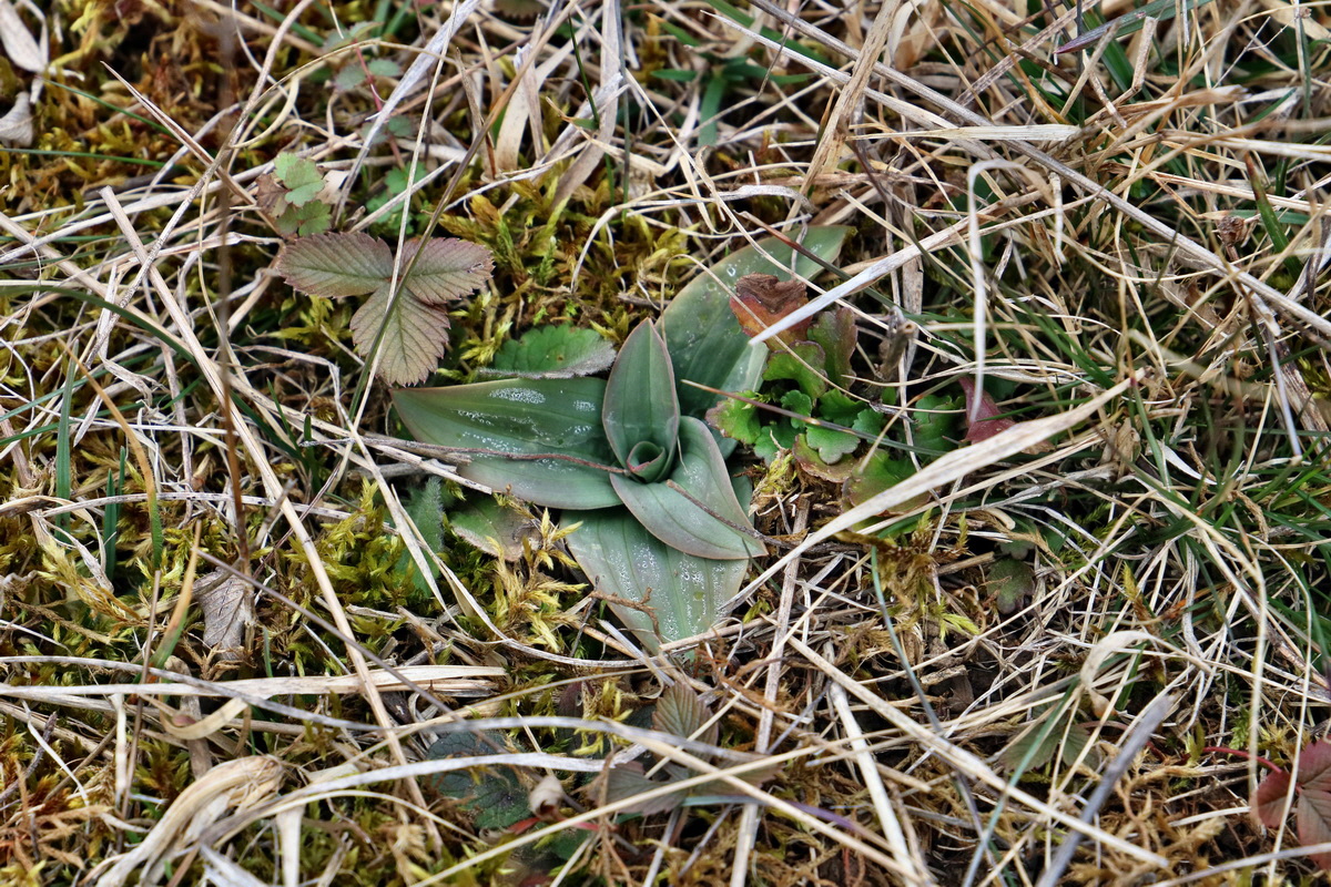 RNA-2017-03-05-00025956p_Bildgr��e �ndern