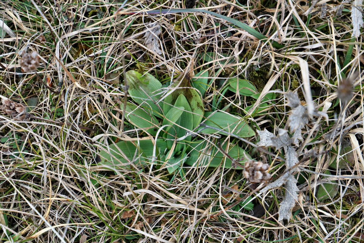 RNA-2017-03-05-00025972p_Bildgr��e �ndern