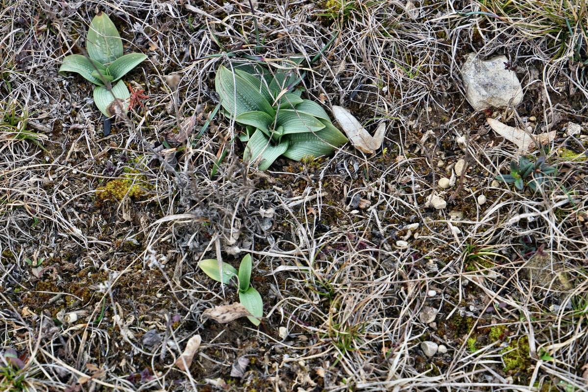 RNA-2017-03-05-00025974p_Bildgr��e �ndern