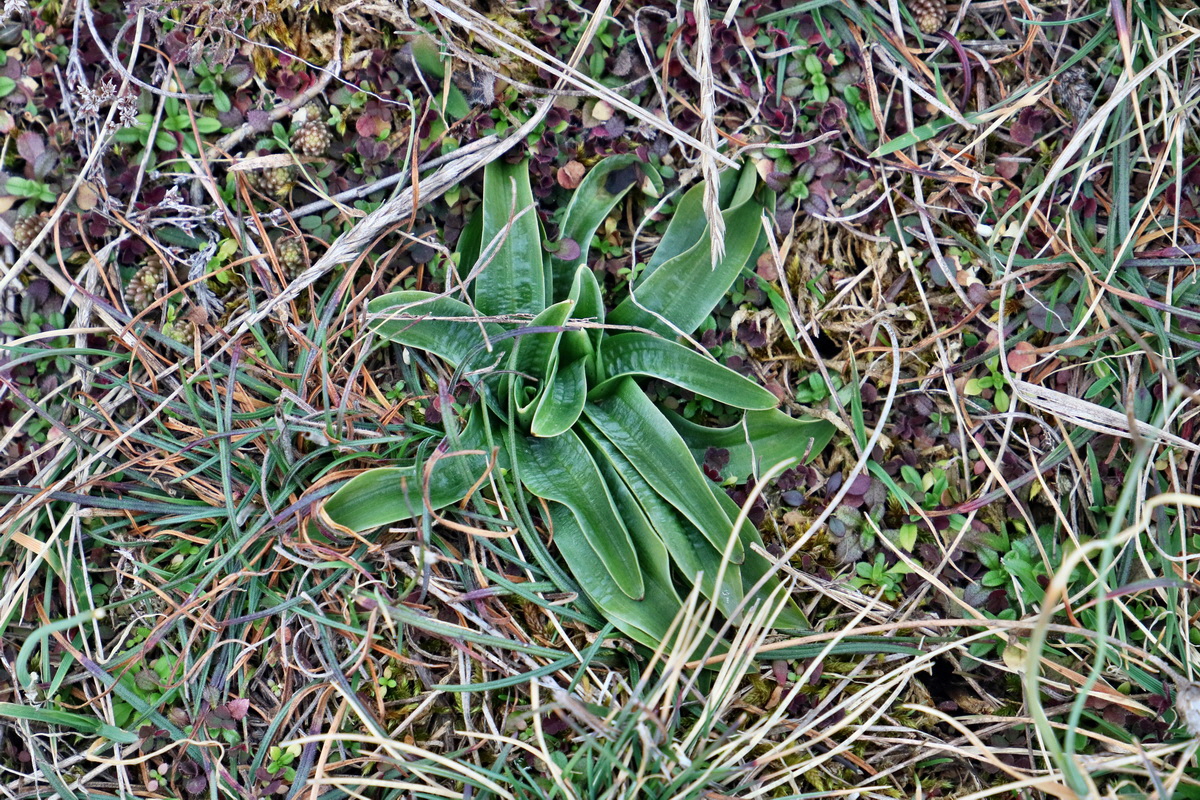 RNA-2017-03-05-00025981p_Bildgr��e �ndern