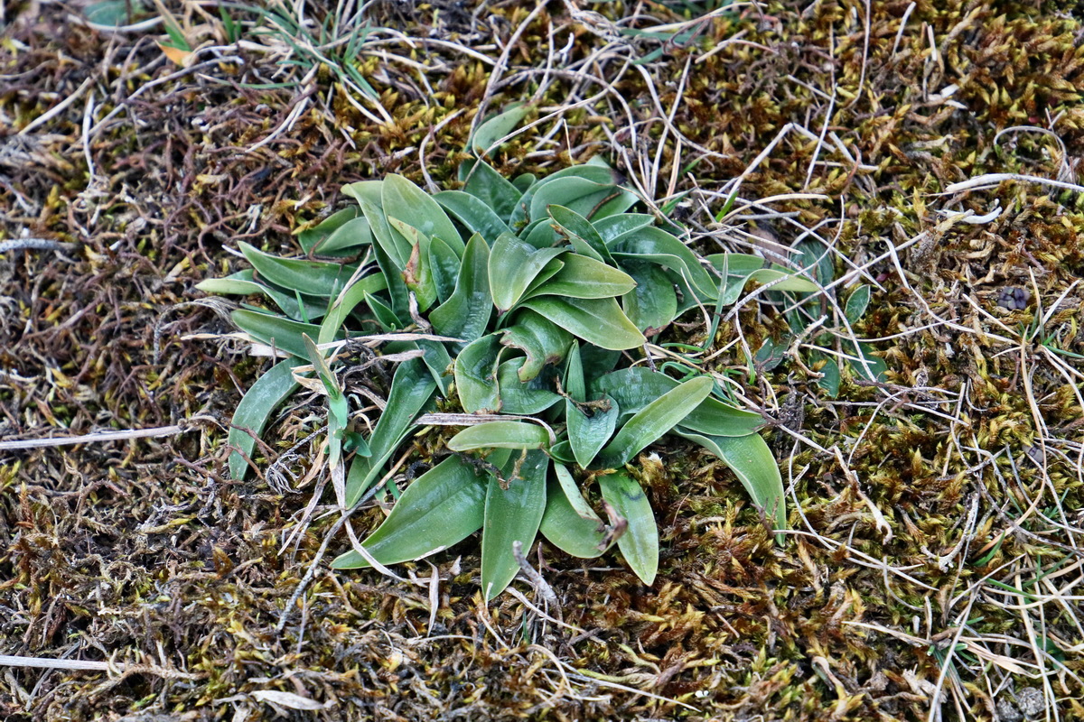 RNA-2017-03-05-00025984p_Bildgr��e �ndern