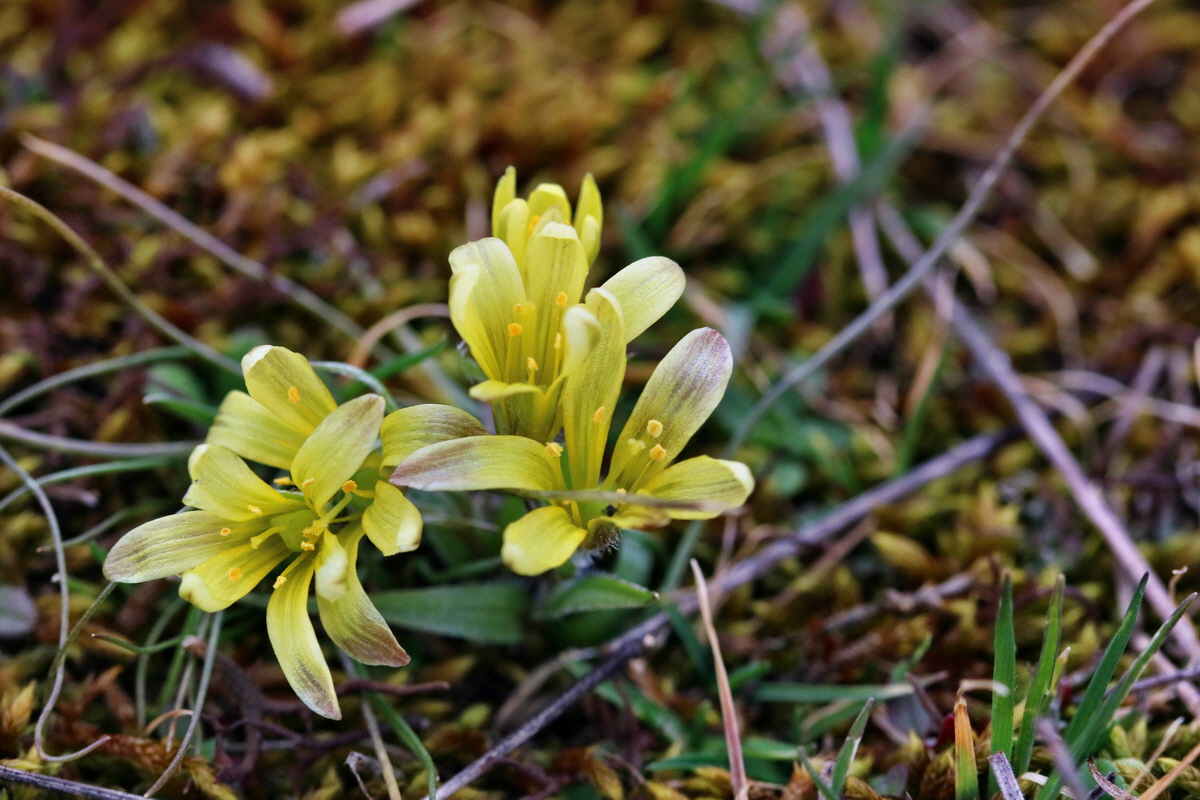 RNA-2017-03-05-00025989p_Bildgr��e �ndern