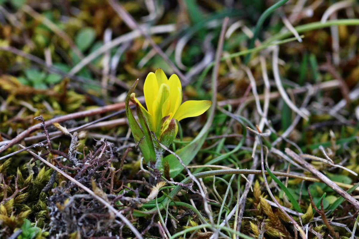 RNA-2017-03-05-00025992p_Bildgr��e �ndern