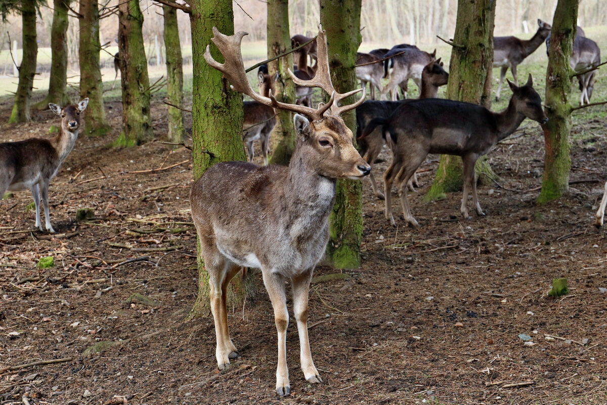 RNA-2017-03-11-00026017p_Bildgr��e �ndern